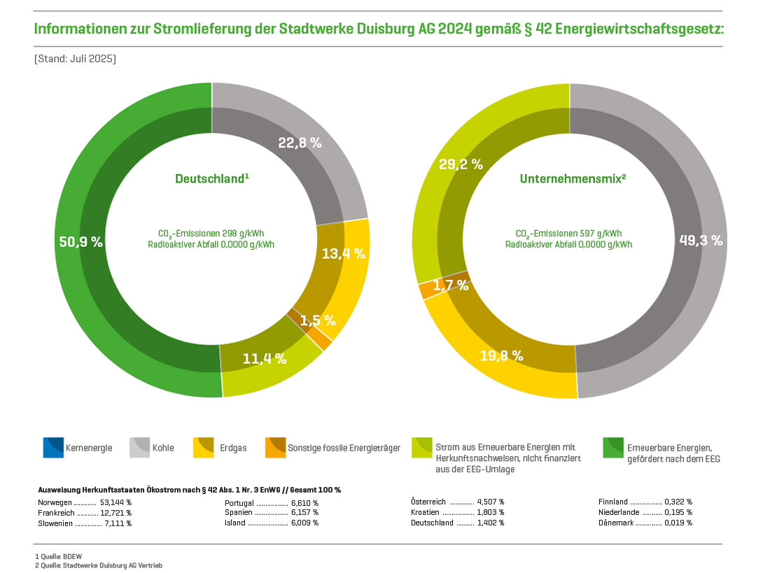 Der Strommix von Deutschland und des Unternehmens