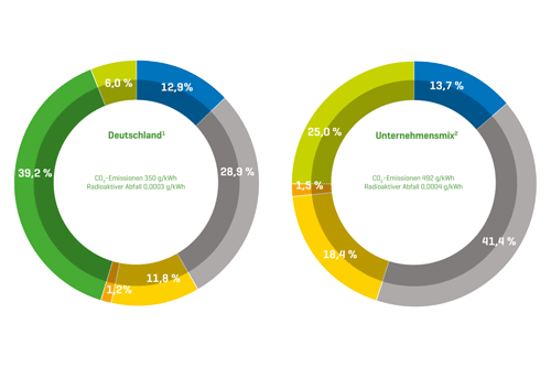 Grafische Aufbereitung der Stromkennzeichnung