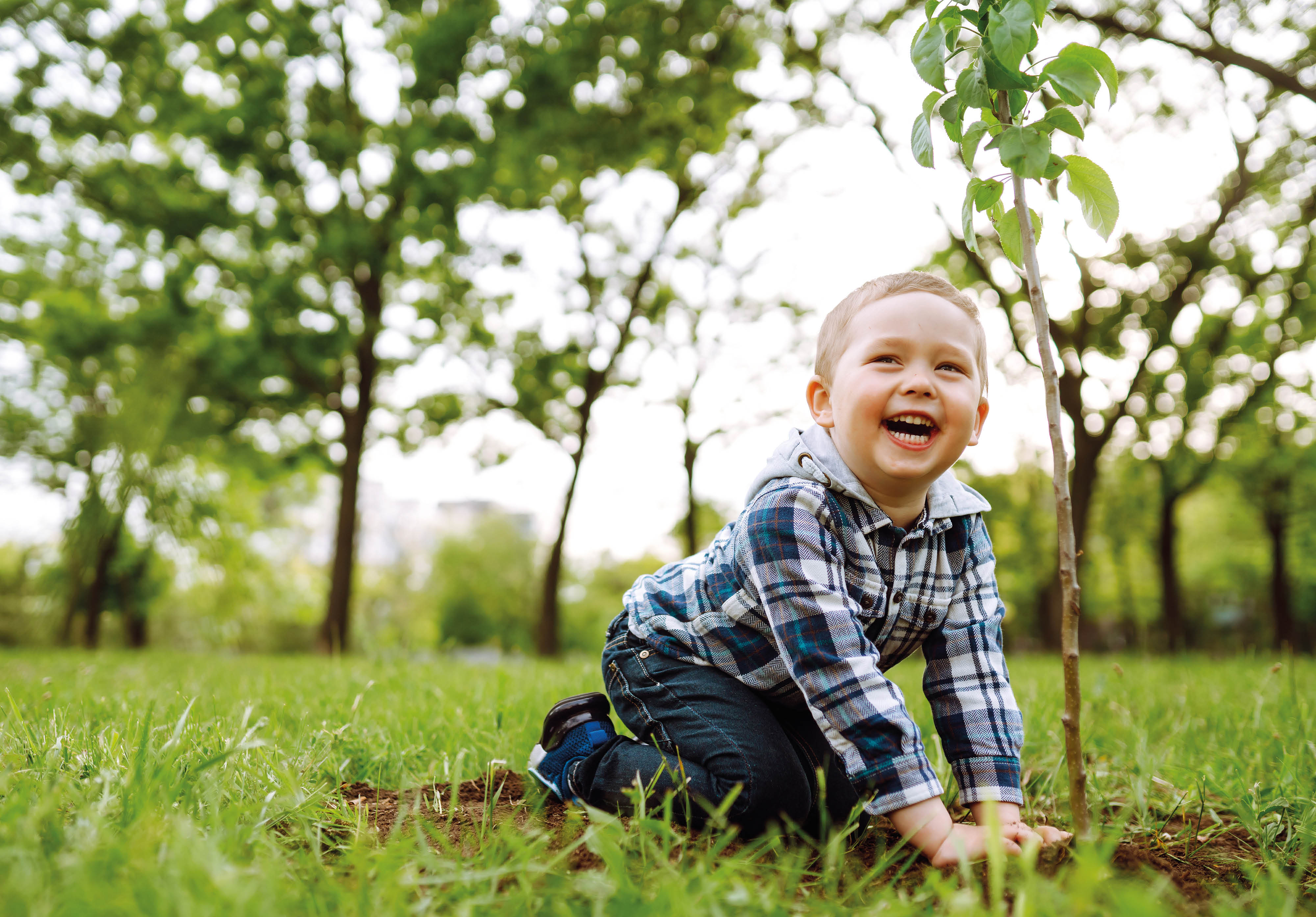 Kleines Kind pflanzt einen Baum
