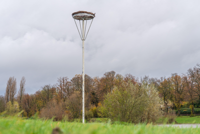 Ein Storchenmast