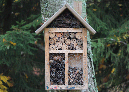 Insektenhotel