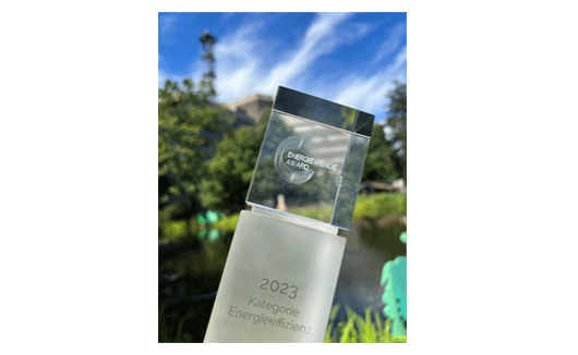 Der Energiewende Award