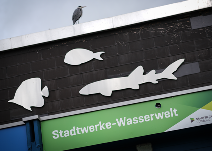 Eingangsbereich Stadtwerke-Wasserwelt